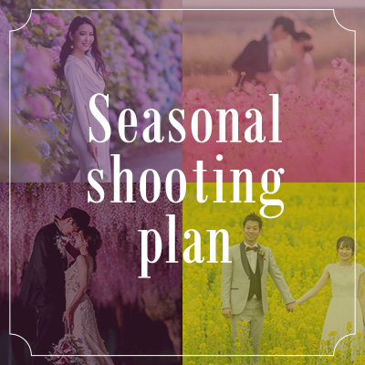 Seasonal shooting plan